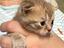 Immagine 1