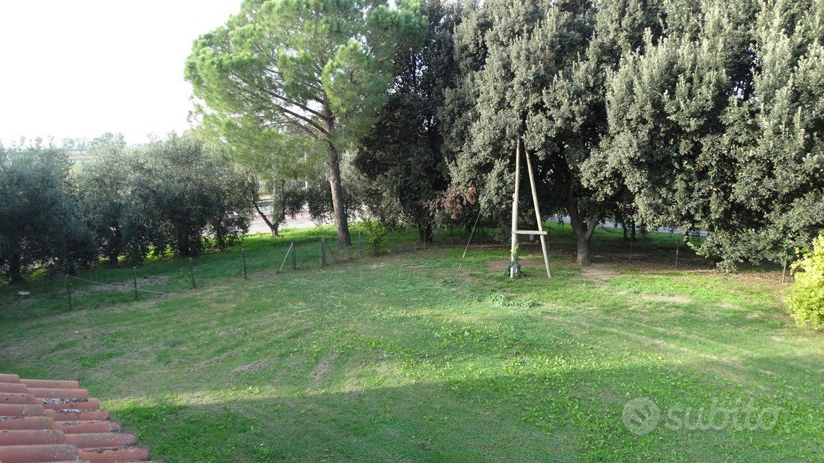 Terreno Agricolo Grosseto [Cod. rif 3102120VCG] - Vista 3