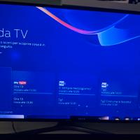 Televisore Samsung 49 pollici