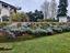 Immagine 11