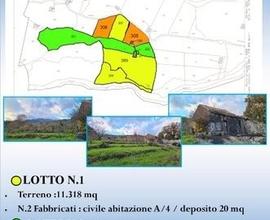 Terreno 22.260 mq con rustici a sant'alfio