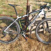 cannondale fsi tg L
