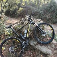 MTB bottecchia e Citybike Klass uptown