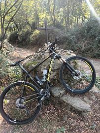 MTB bottecchia e Citybike Klass uptown