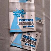 Eserciziario di Algebra per il Biennio Vol 1 e 2