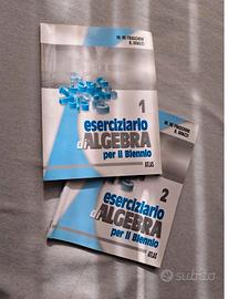 Eserciziario di Algebra per il Biennio Vol 1 e 2