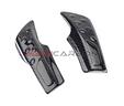 protezioni-forcellone-carbonio-bmw-s-1000-rr-15-18