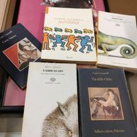 libri carlo lucarelli coliandro