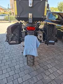 Borse laterali moto Rhinowalk