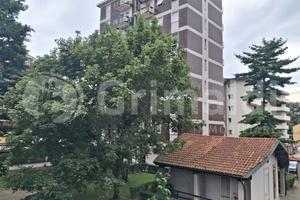 Appartamento Cusano Milanino [Cod. rif 3327625ARG]