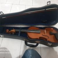 violino 