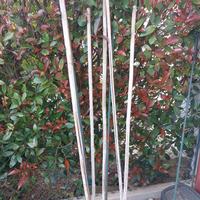 Tutori in acciao e bamboo per orto