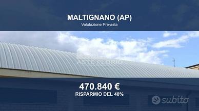 Immobile in asta di 1746 m² a Maltignano