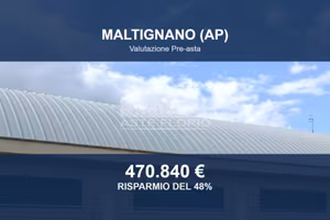Immobile in asta di 1746 m² a Maltignano