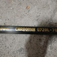 canna da pesca fissa Daiwa