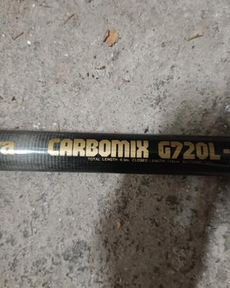 canna da pesca fissa Daiwa