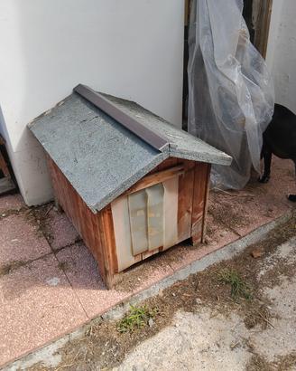 cuccia per cani