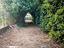 Immagine 13