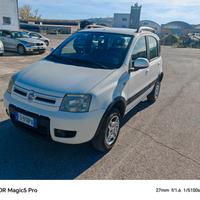 Fiat Panda 1.3 MJT 16V 4x4