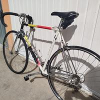 bici da corsa colnago