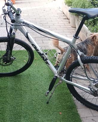 bici giant 