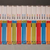 Corso Completo Brain Trainer (20 DVD + 20 Volumi)