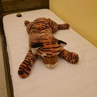 Tigre di peluches
