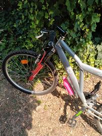 bicletta audi TP 52