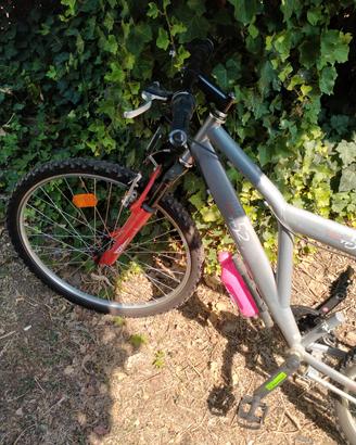 bicletta audi TP 52