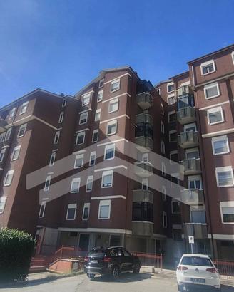 Appartamento - Campobasso