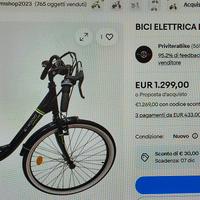 bicicletta pedalata assistita elettrica