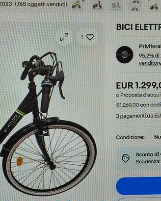 bicicletta pedalata assistita elettrica