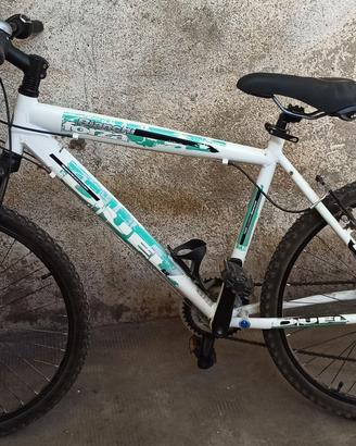BIANCHI