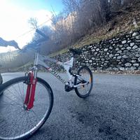 Prezzo ribassato Mtb Specialized taglia L
