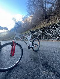 Prezzo ribassato Mtb Specialized taglia L