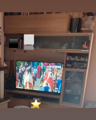 mobile porta tv