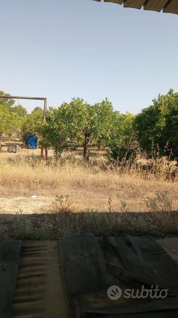 terreno in zona cava a Francofonte - Vista 2