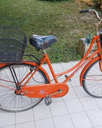 Bici Holland Velomec