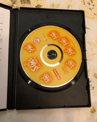 Videogioco