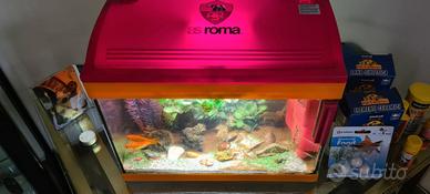 acquario as Roma esclusiva 
