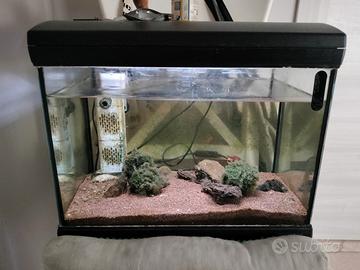 acquario piccolo completo