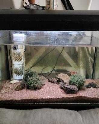 acquario piccolo completo