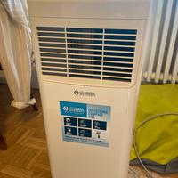 Pinguino condizionatore portatile Dolceclima