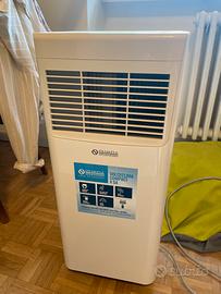 Pinguino condizionatore portatile Dolceclima