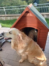 Casetta/cuccia per cani di media e grande taglia g