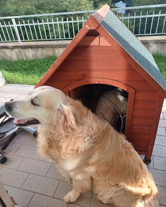 Casetta/cuccia per cani di media e grande taglia g