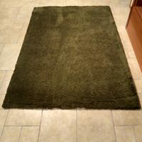 Tappeto a pelo medio verde scuro 