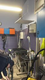 Negozio ora adibito a toletta per cani