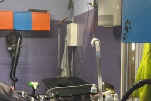 Negozio ora adibito a toletta per cani