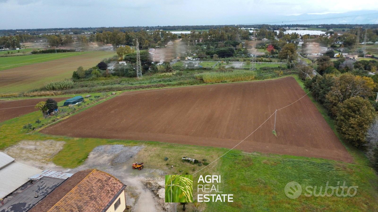 Terreno agricolo 3,2 HA con capannone 700 mq - Vista 2